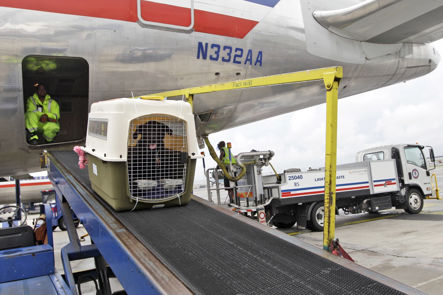 180502-american-airlines-pets-cargo-hold-al-1209